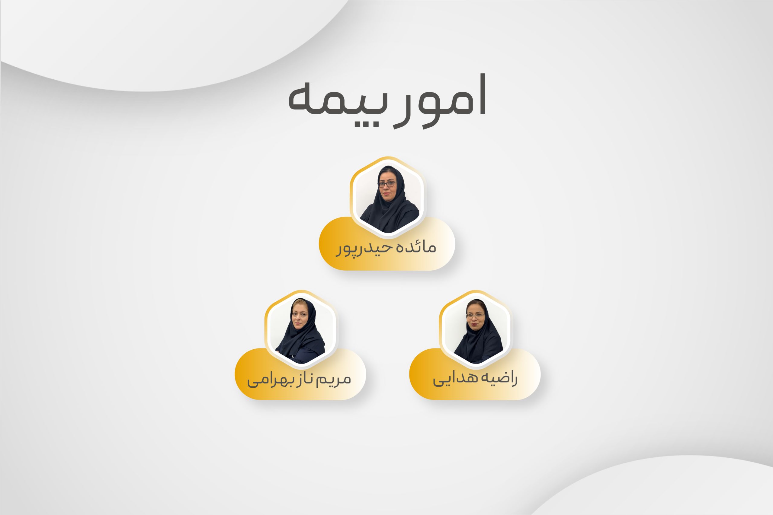 امور بیمه