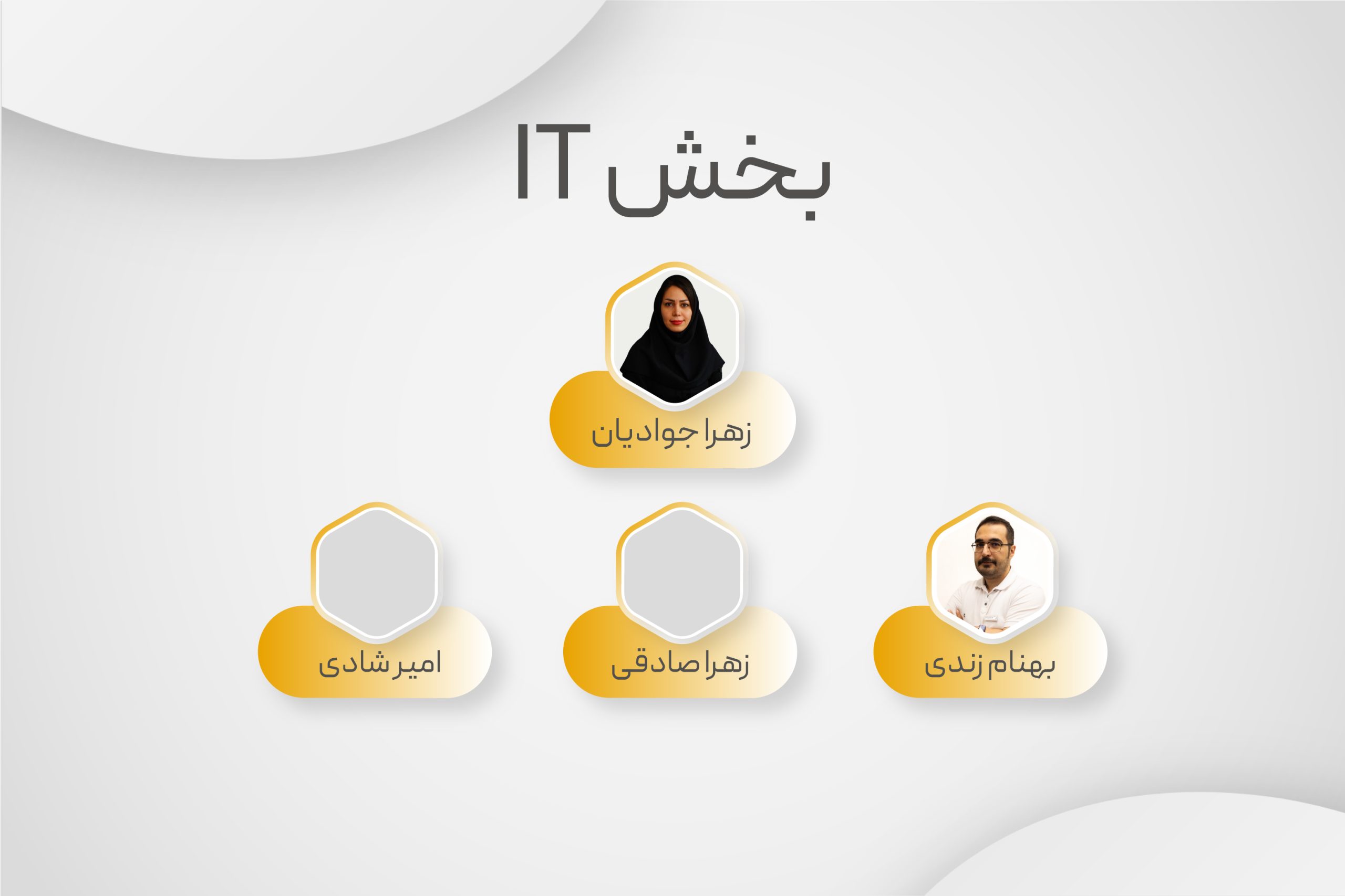 بخش it