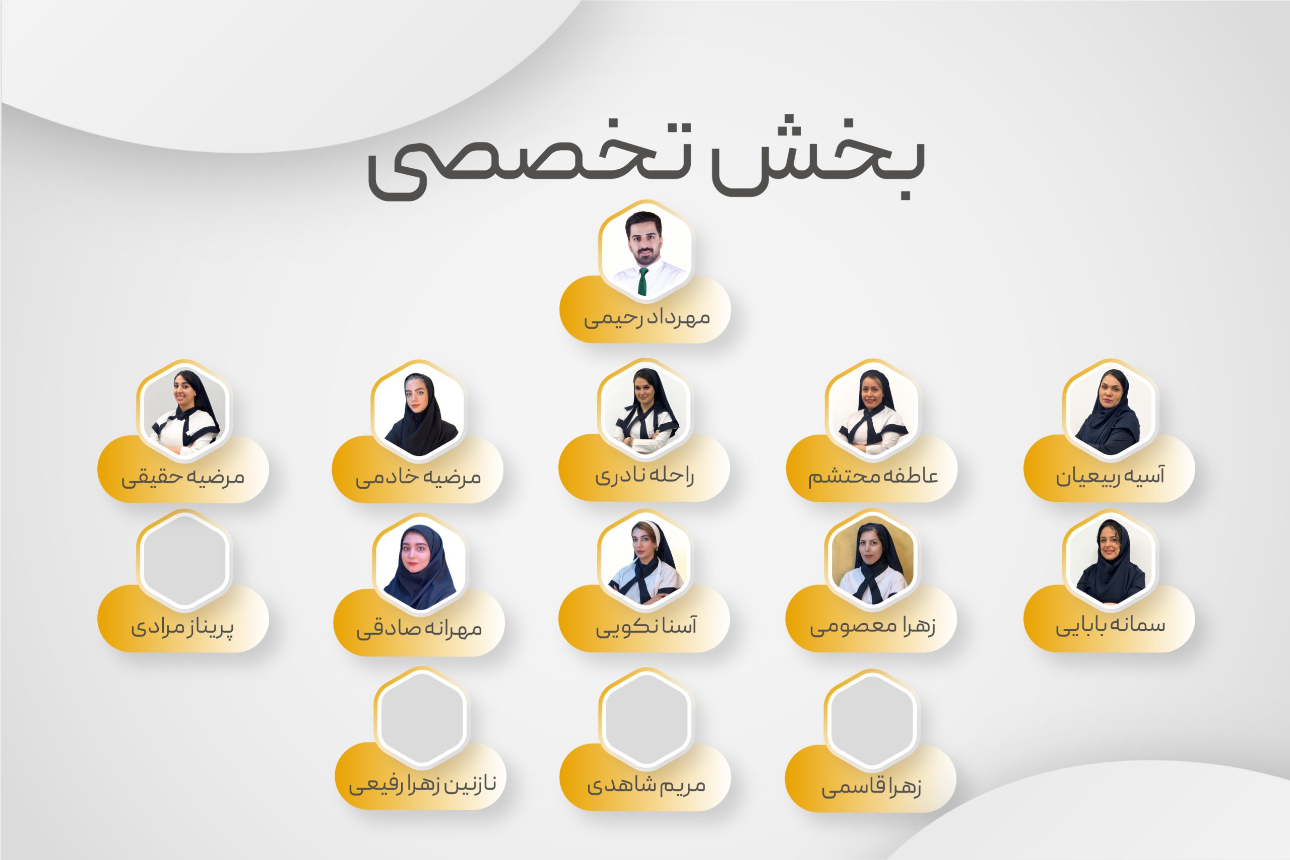 تخصصی