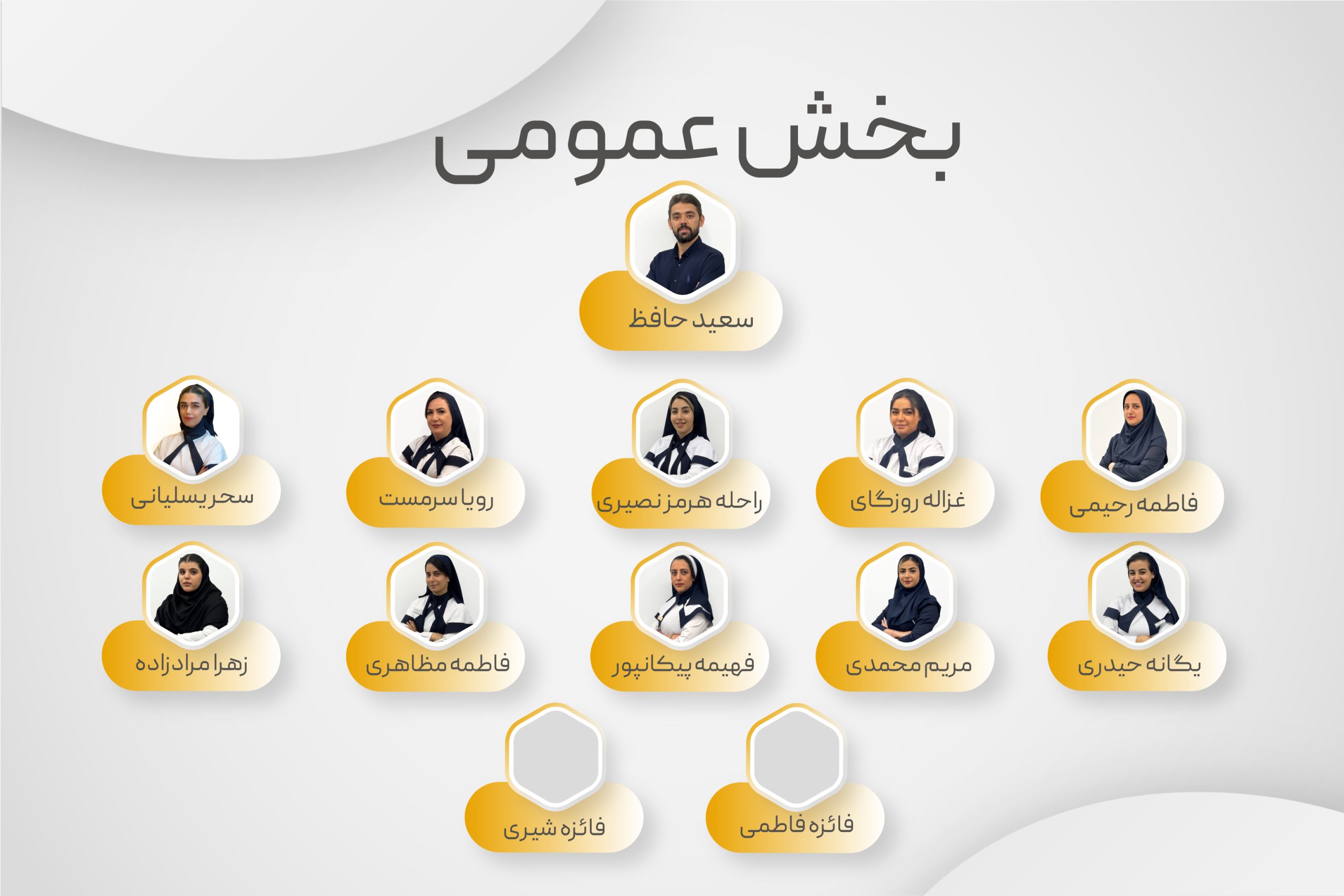 عمومی